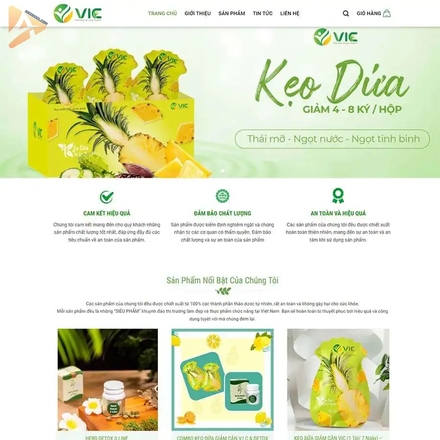 Theme WordPress thực phẩm chức năng 17