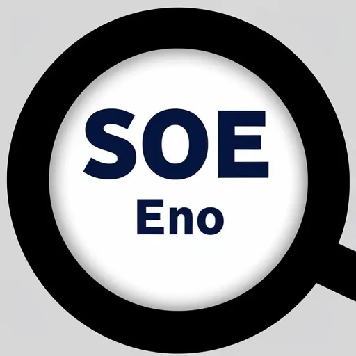 Dịch vụ SEO web Axidigi