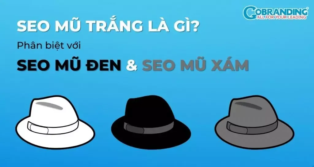 SEO Mũ Trắng Là Gì